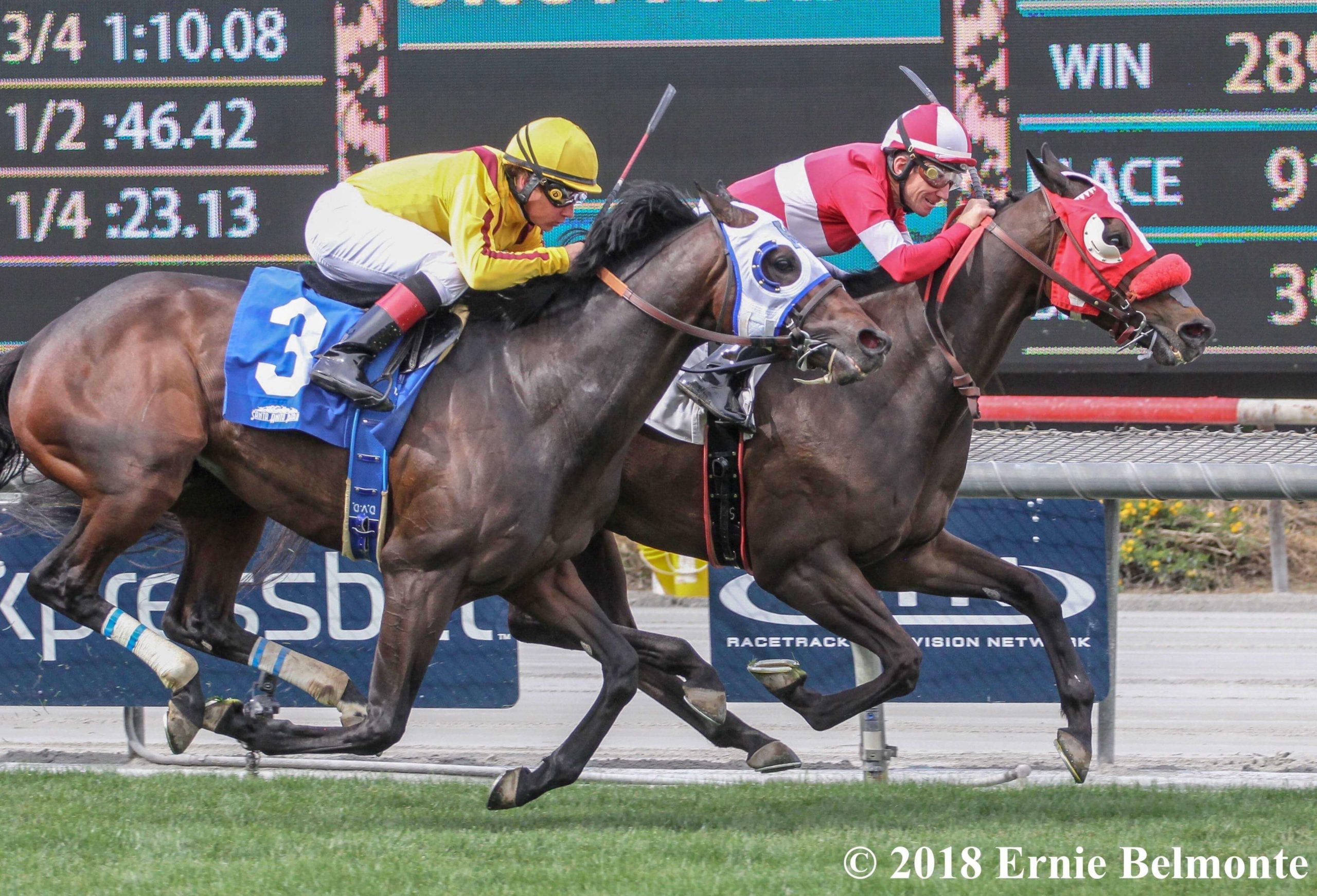 2018 American Stakes finish line